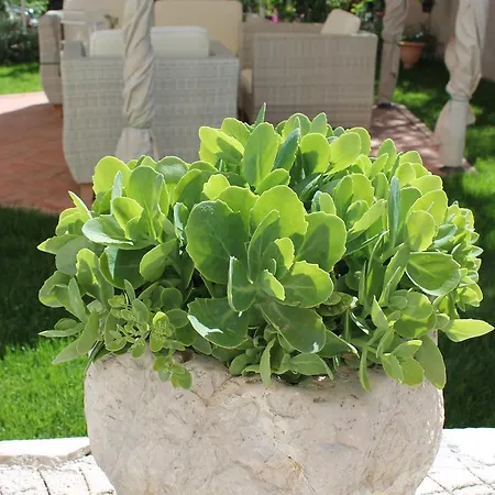 빌라 Sime & Cvita *